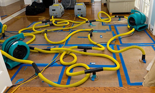 Professional Crawl Space Water Removal technician working in Jarrell, TX